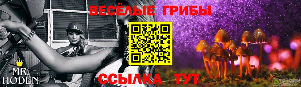 Малгобек  дарнет шоп  Псилоцибиновые грибы Magic Shrooms  Вход с VPN  Псилоцибиновые грибы Cubensis 